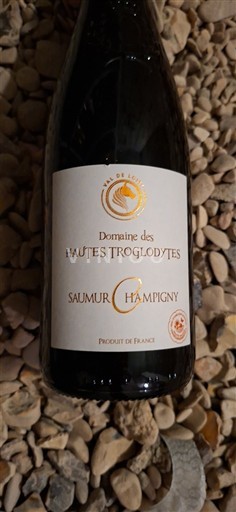 Loire Valley Saumur-Champigny Domaine S Hautes Troglodytes 2023