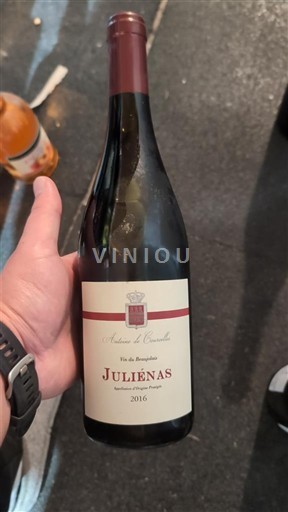 Beaujolais Juliénas Maison des Bruyères 2016
