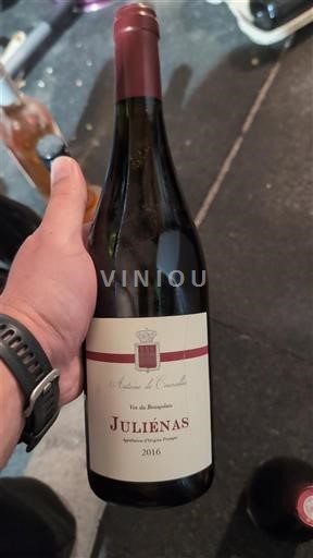 Beaujolais Juliénas Château Bellevue 2016