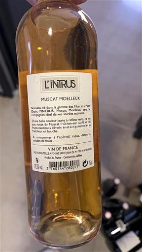 Languedoque Não especificado L'Intrus Muscat Moelleux 2021