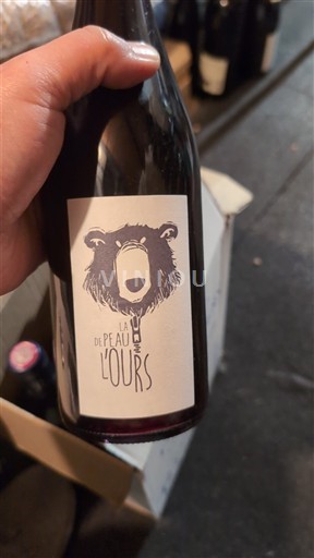 Beaujolais La Peau de l'Ours 2023