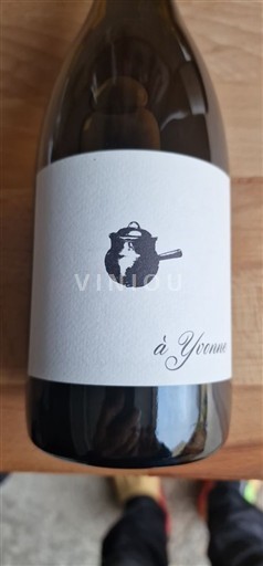 Bourgogne Bourgogne Aligoté Domaine Rain À Yvonne 2021