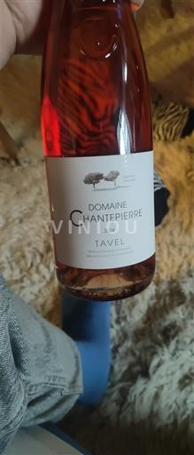 Vallée du Rhône Tavel Domaine Chantepierre 2024