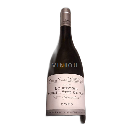 Bourgondië Hautes Côtes de Nuits Premier Cru Guy et Yvan Dufouleur 16 ème génération 2023
