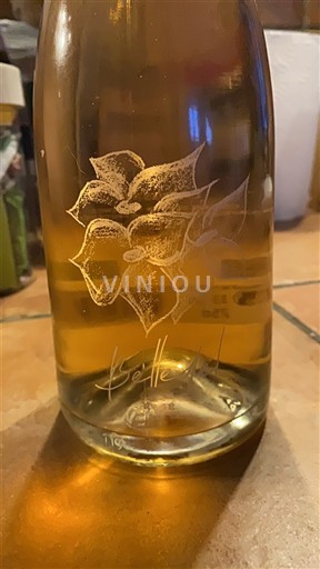 Provenza Coteaux de Aix en Provenza Château La Coste Belledel Sin añada