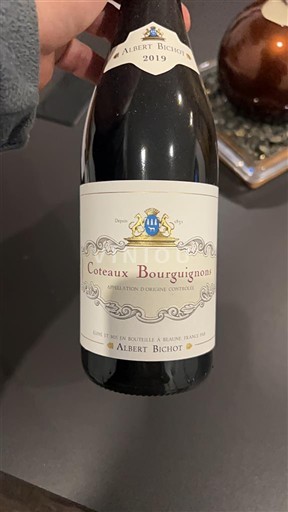 Burgundi Burgundin rinteet Albert Bichot 2019
