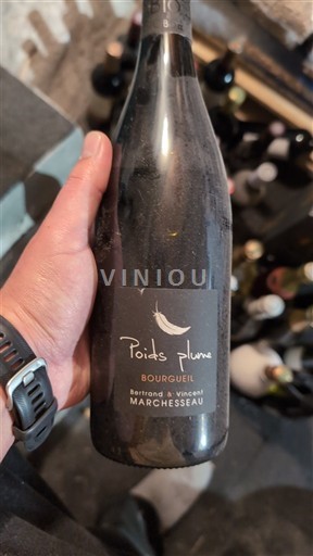 Vale do Loire Bourgueil Bertrand & Vincent Marchesseau Poids Plume 2019
