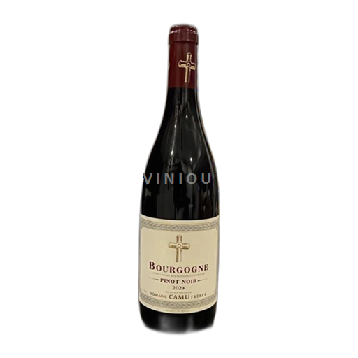 Burgundi Bourgogne Domaine Camu Frères 2024