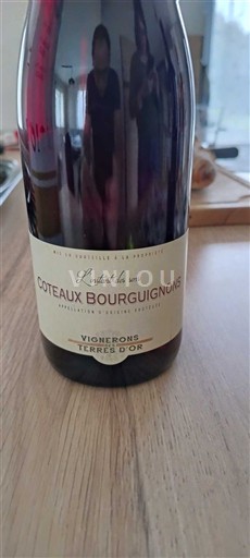 Burgundi Burgundin rinteet Vignerons Terres d'Or L'Instant de nos Ei vuosikertaa