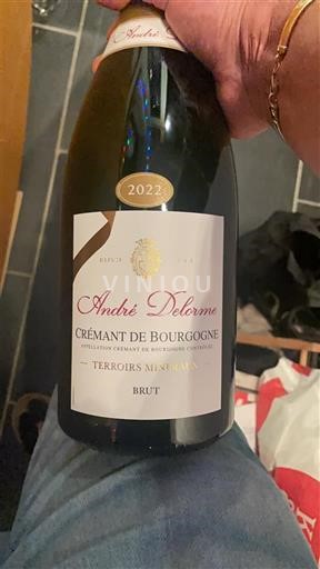 Bourgogne Crémant de Bourgogne André Delorme Terroirs Méridionaux 2022