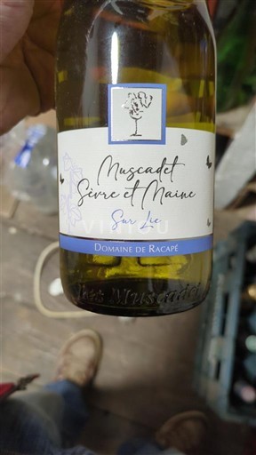 Vallée de la Loire Muscadet-sèvre-et-maine Domaine Racapé Sur Lie 2023