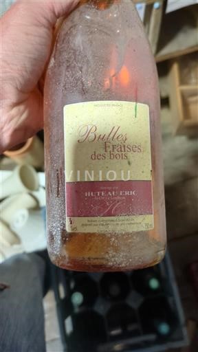 Valle della Loira Huteau Eric Bulles de Fraises des bois 2022