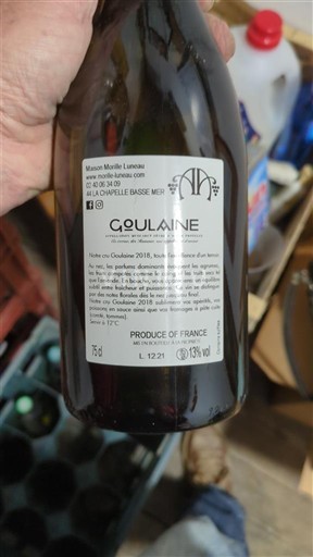 Vallée de la Loire Muscadet-sèvre-et-maine Maison Morille Luneau Goulaine 2018