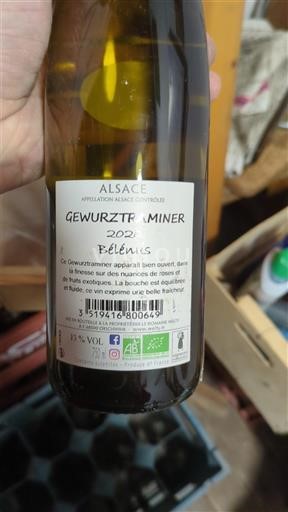 Alsace Bélenius 2022