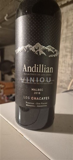 Mendoza Nicht spezifiziert Andillian Los Chacayes 2018