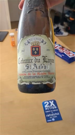 Loire Valley Unspecified Domaine La Roche Moreau 2017