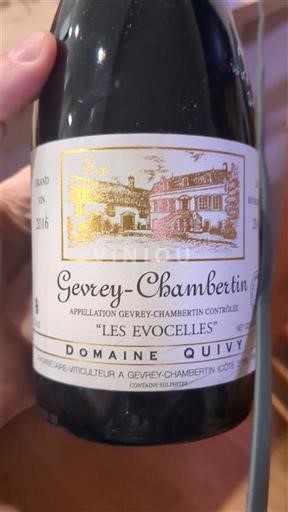 Borgoña Gevrey-Chambertin Domaine Quivy Les Evocelles 2016