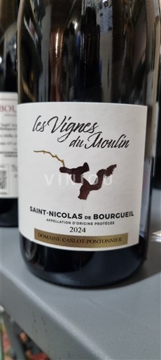 Vallée de la Loire Saint-Nicolas-De-Bourgueil Domaine Caslot-Pontonier Les Vignes du Moulin 2024
