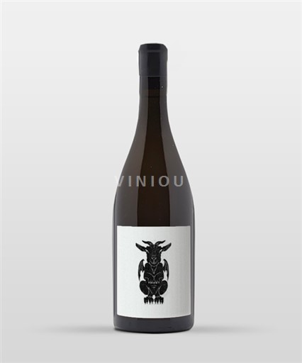 Bourgogne Vin Noé Totem 2024