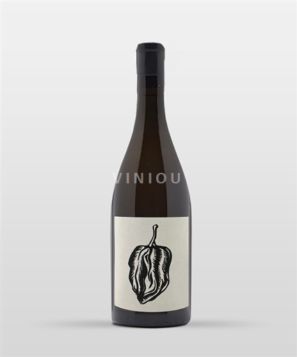 Bourgogne Vin Noé Salt&Pepper 2024