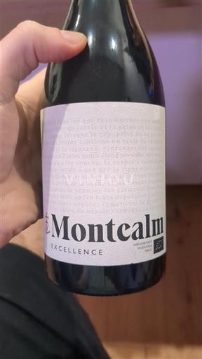 Linguadoca e Rossiglione Paese d'Oc Domaine Montcalm Excellence Senza annata