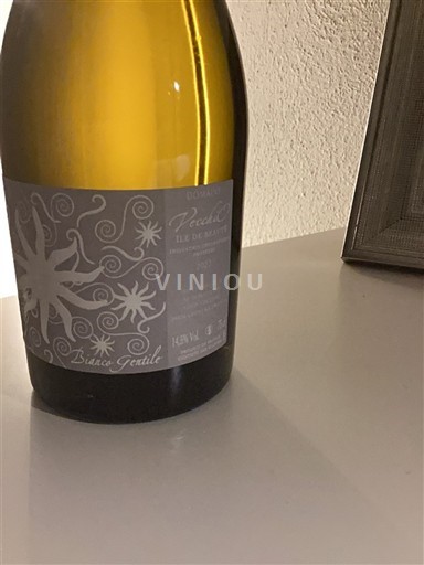 Corse Île de Beauté Domaine Vecchio Uva antica 2022