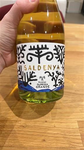 Sardaigne Vermentino di Sardegna Podere Guardia Grande Saldenya 2023