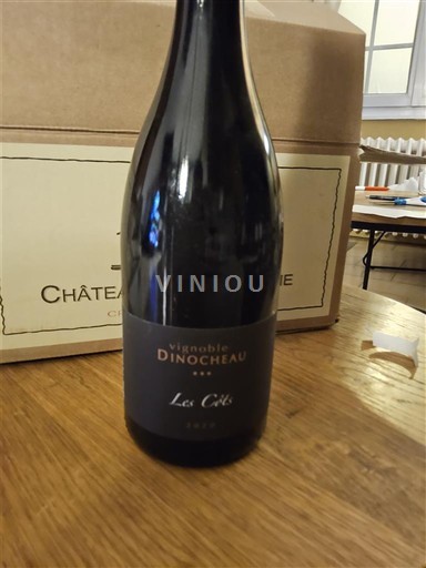 Dolina Loare Touraine Vignoble Dinocheau Les Côts 2020