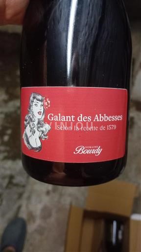 Wines Rouge sec Galant des Abbesses Domaine Boudy Non millésimé France South West Vin de France
