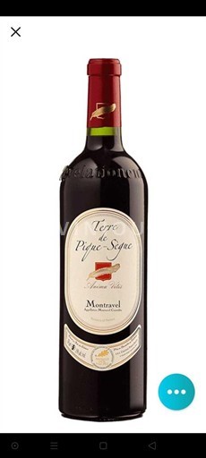 Sud-Ouest Montravel Terre de Pique-Segue 2006