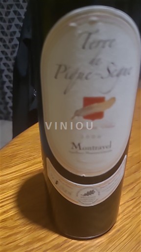 Sørvest Montravel Terre de Pique-Segue 2006