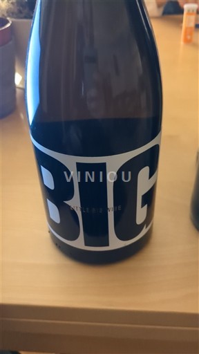 Languedoc Attelie de la Vie BIG 2019