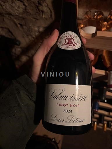Provence, pjesa e poshtme e luginës së Rhônës, Korsikë Var Louis Latour Valmoissine 2024
