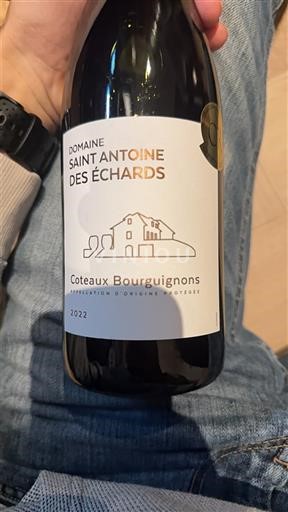 Burgundi Burgundin rinteet Domaine Saint Antoine des Échards 2022