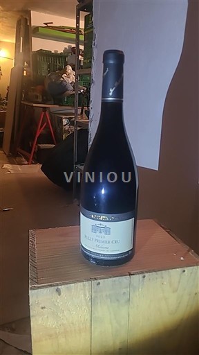 Burgundsko Rully Premier Cru Jean-Baptiste Ponsot Molesme Neročník