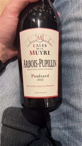 Jura Arbois-Pupillin Caves de la Muyre Poulsard 2023