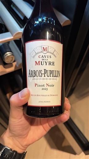 Jura Arbois-Pupillin Caves de la Muyre 2023