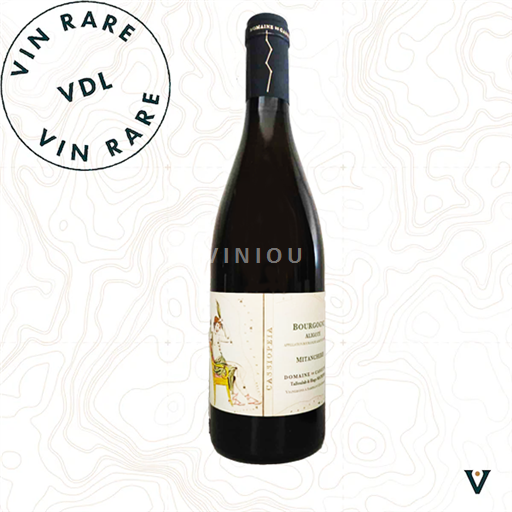 Bourgogne Bourgogne Aligoté Domaine Cassiopée Mitancherie 2023