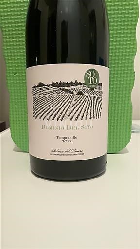 Castilië en León Ribera del Duero Dominio Del Soto 2022