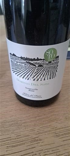 Castilia și León Ribera del Duero Dominio Del Soto 2022