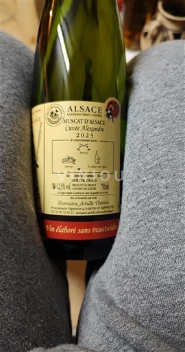 Alsace Muscat Domaine Achille Thirion Alexandre 2023