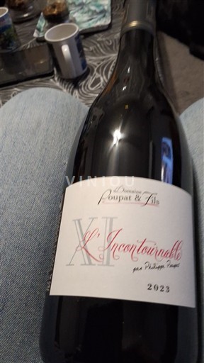 Dolina Loare Domaine Poupat & Fils L'Incontournable 2023