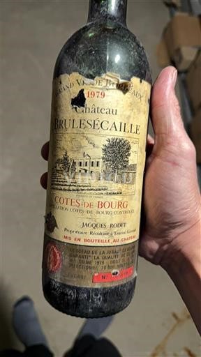 Burdeos Côtes-de-bourg Château Brulesécaille 1979
