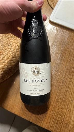 Loire-dalen Saumur-Champigny Clos Rougeard Les Poyeux 2023