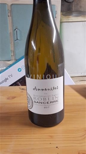 Loiren laakso Sancerre Matthias et Emile Roblin Ammonites 2017