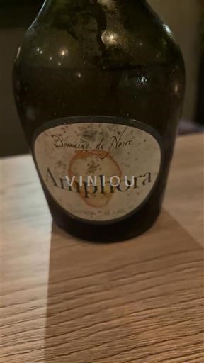 Vallée de la Loire Chinon Domaine Noiré Amphora 2022