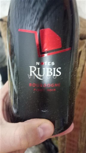 Burgundija Notes Rubis 2022