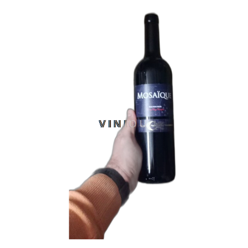 Neuchâtel Château Caves du Château d'Auvernier Mosaïque 2023