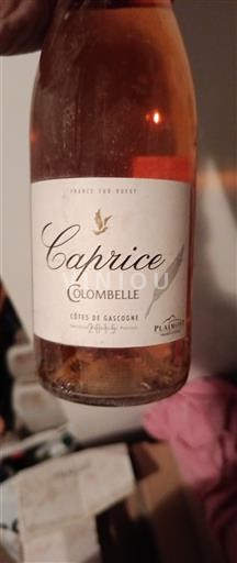 Jugozahod Côtes de Gascogne Plaimont Caprice Colombelle 2015