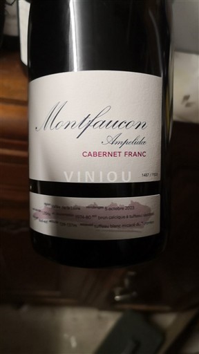 Loiretal Vienne Ampelidae Ampelida 2023